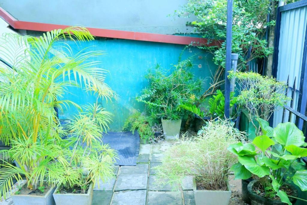Villa Surendra 韦利格默 外观 照片